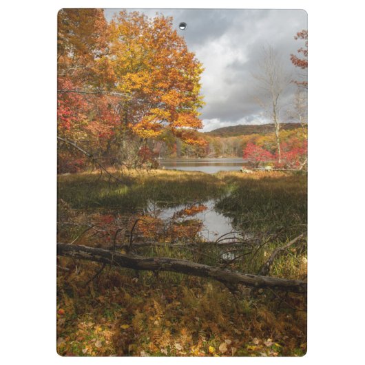 東北秋 クリップボード (裏面)