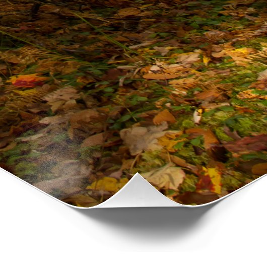 東北秋 ポスター (コーナー)