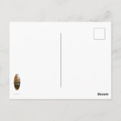 東北秋 ポストカード (裏面)