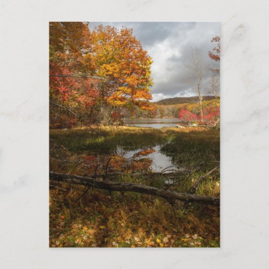 東北秋 ポストカード (正面)