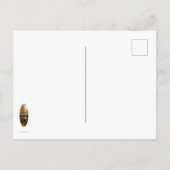 東北秋 ポストカード (裏面)