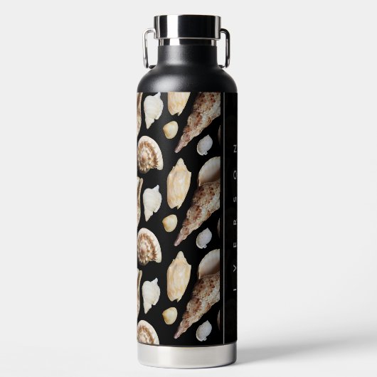 東南アジアの熱帯ヴィンテージ貝類 ウォーターボトル (正面)