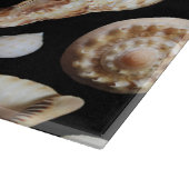 東南アジアの熱帯ヴィンテージ貝類 カッティングボード (角)