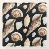 東南アジアの熱帯ヴィンテージ貝類 ガラスコースター (正面)