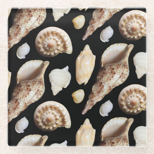 東南アジアの熱帯ヴィンテージ貝類 ガラスコースター (正面)