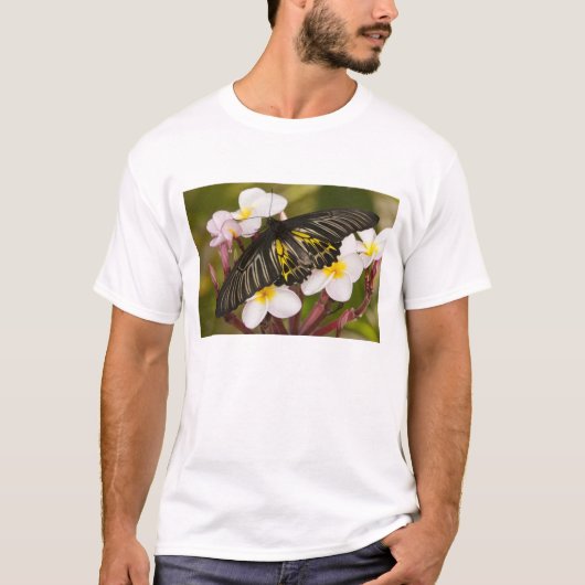 東南アジア、タイ、コーンケーン Tシャツ (正面)