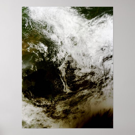 東南太陽のアジアの金食 ポスター (正面)