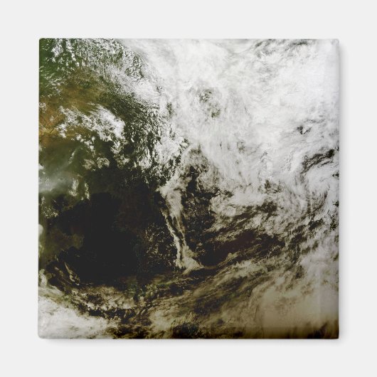 東南太陽のアジアの金食 マグネット (正面)