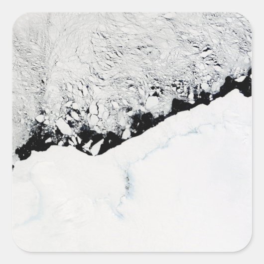 東南極A：午前1/2s王侯オラフ海岸 スクエアシール (正面)