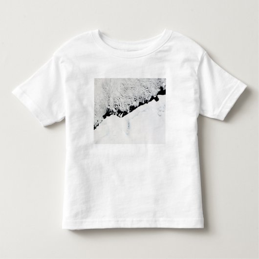 東南極A：午前1/2s王侯オラフ海岸 トドラーTシャツ (正面)
