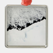 東南極A：午前1/2s王侯オラフ海岸 メタルオーナメント (正面)