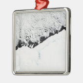 東南極A:午前1/2s王侯オラフ海岸 メタルオーナメント (左)