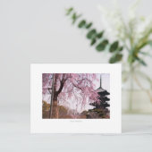 東寺寺 ポストカード (スタンド正面)