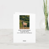 東岬のKuduのメッセージカード カード (裏面)