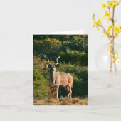 東岬のKuduのメッセージカード カード (黄色い花)