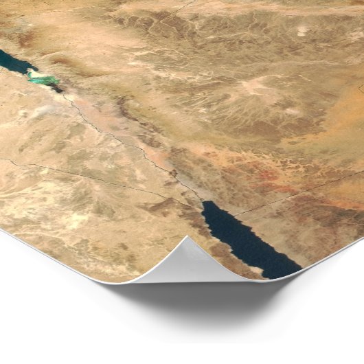 東岸に沿ったイスラエルの土地 ポスター (角)
