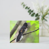 東方葉書 ポストカード (スタンド正面)