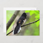 東方葉書 ポストカード (正面/裏面)