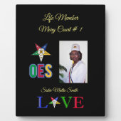 東星生命メンバーの順序 フォトプラーク (正面)