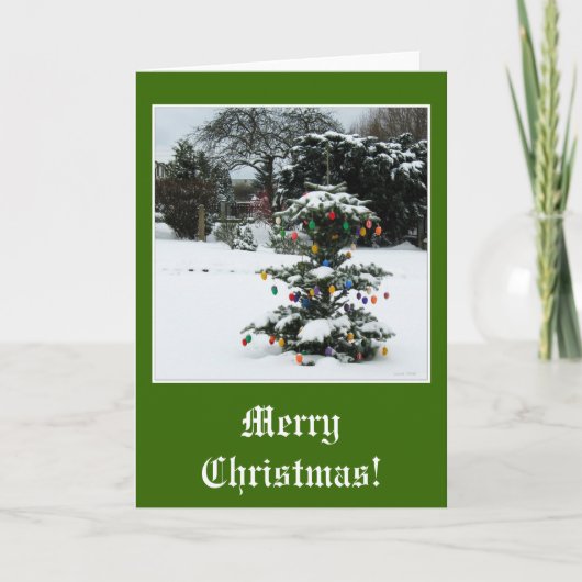 東樹 シーズンカード (正面)