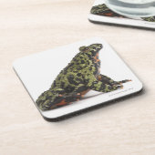 東洋の火によって膨らまされるヒキガエルの側面図 コースター (左側)