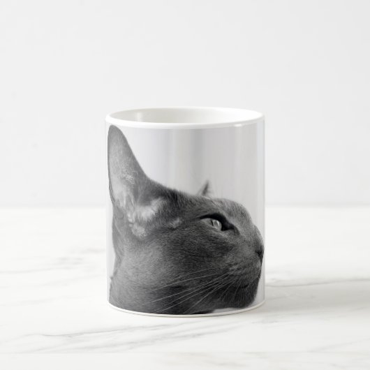 東洋のShorthair猫のマグ コーヒーマグカップ (中央)