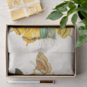 東洋昆虫学Pl第22号の内閣 薄葉紙 (ギフト)