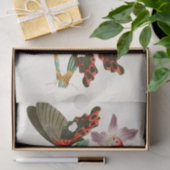 東洋昆虫学Pl III内閣 薄葉紙 (ギフト)