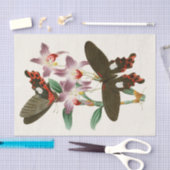 東洋昆虫学Pl III内閣 薄葉紙 (クラフト)