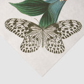 東洋昆虫学Pl XLI内閣 薄葉紙 (詳細)