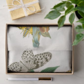 東洋昆虫学Pl XLI内閣 薄葉紙 (ギフト)