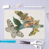 東洋昆虫学Pl XLI内閣 薄葉紙 (クラフト)