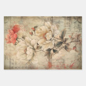 東洋芸者美学重い減量 ラッピングペーパーシート (正面3)