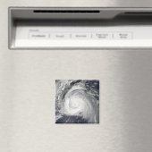 東海岸のハリケーン法案 マグネット (インサイチュ (食洗機))