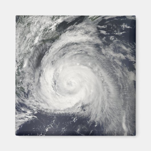 東海岸のハリケーン法案 マグネット (正面)