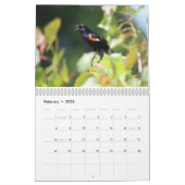 東海岸の鳥類カレンダー カレンダー (2月 2026)