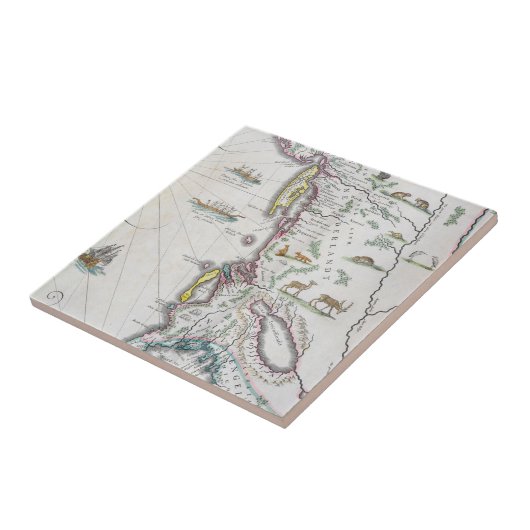 東海岸を描写する地図 タイル (側面)