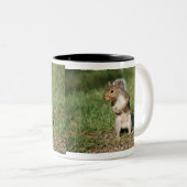 東灰色リスのマグ ツートーンマグカップ (正面右)