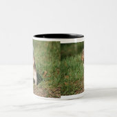 東灰色リスのマグ ツートーンマグカップ (中央)