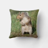 東灰色リスの枕 クッション (裏面)