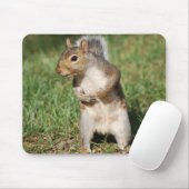 東灰色リスのmousepad マウスパッド (マウス)