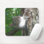 東灰色リス(Sciurus carolinensis)項目 マウスパッド (マウス)