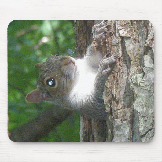 東灰色リス(Sciurus carolinensis)項目 マウスパッド (正面)