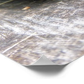 東色彩の鮮やか亀 ポスター (角)