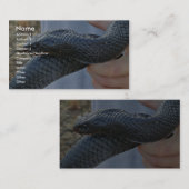 東藍蛇 名刺 (正面/裏面)