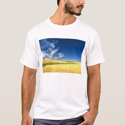 東部でのパルースの小麦収穫 Tシャツ (正面)