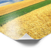 東部のパルーズで小麦の収穫 フォトプリント            (角)