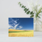 東部のパルーズで小麦の収穫 ポストカード (スタンド正面)