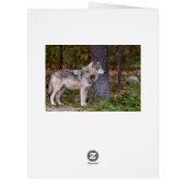 東部の木材ウルフカード (裏面)