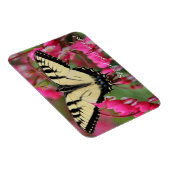 東部アゲハチョウ2 マグネット (右側)